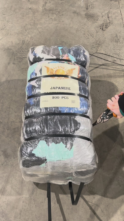 100x JAPANESE CARTOON T-SHIRTS