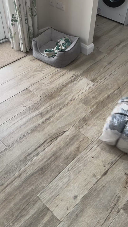 50x DICKIES CARPENTER/DENIM JEANS